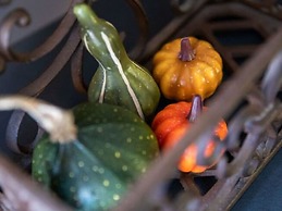 Modern & Garden-view Holiday Home in Alphen