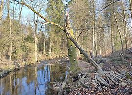 Ferienhauser im Schierke Harzresort