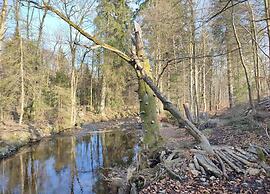 Ferienhauser im Schierke Harzresort
