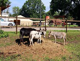 Holiday Home Oliver, Wendorf