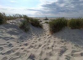 Holiday Dune Magic