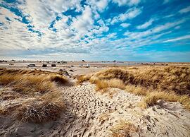 Holiday Dune Magic