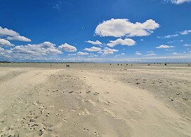 Holiday Dune Magic