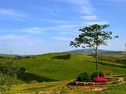 Cosy Agriturismo in Toscana With Outdoor Swimming Pool