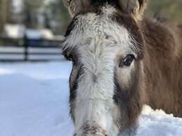 Seepark Heidenholz, Plau am See