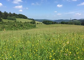 Garden-view Apartment in Heringhausen Lake City Centre