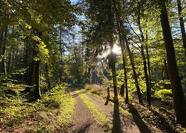 Garden-view Apartment in Heringhausen Lake City Centre