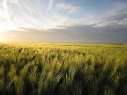 Spacious Cottage With Private Garden in Normandy