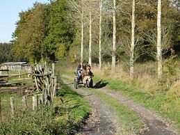 Lively Holiday Home With Garden, Barbecue, Garden Furniture