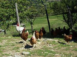 Spacious Holiday Home in Vicchio With Private Pool