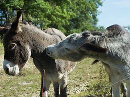 Spacious Holiday Home in Vicchio With Private Pool