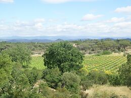 State of the Art Fixtures Villa in Vidauban With Pool