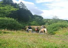 Homely Apartment in Noordwolde With Balcony