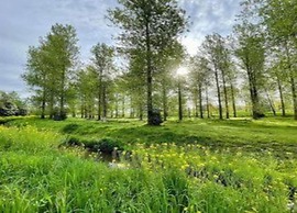 Duplex Apartment in the Shopping Street of Maasmechelen