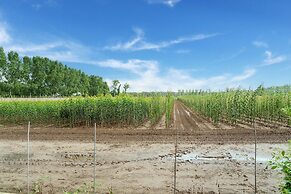 Spacious Mansion in Swolgen With Garden