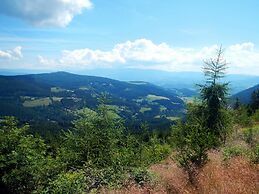 Detached Wooden Chalet in Liebenfels / Carinthia Near the Simonhohe sk