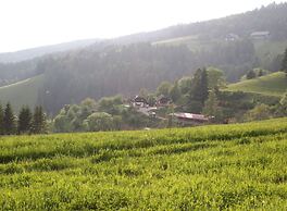 Detached Wooden Chalet in Liebenfels / Carinthia Near the Simonhohe sk