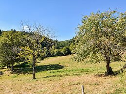 Holiday Home in Auvergne With Roofed Garden and Terrace