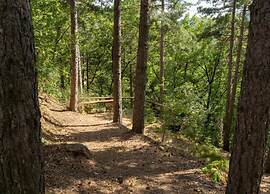 Pleasant Holiday Home in Reggello With Pool