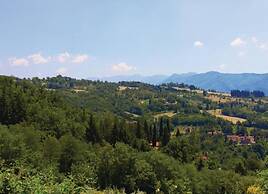 Pleasant Holiday Home in Reggello With Pool