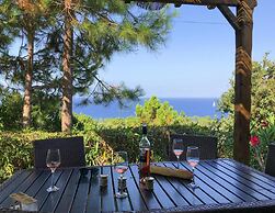 Res. Mare e Monte, Solenzara, Bungalow With Terrace