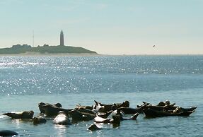Well-kept Apartment, a Stone's Throw From the sea on Texel