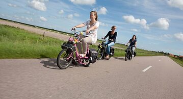 Well-kept Apartment, a Stone's Throw From the sea on Texel