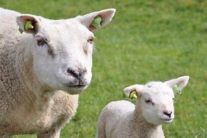 Well-kept Apartment, a Stone's Throw From the sea on Texel