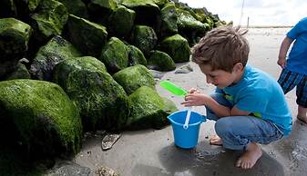Well-kept Apartment, a Stone's Throw From the sea on Texel