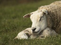 Semi-detached, Luxury Villa With 3 Bathrooms, sea at 400 m