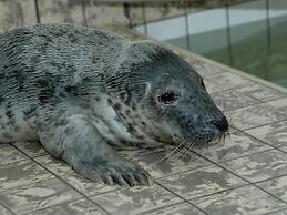 Semi-detached, Luxury Villa With 3 Bathrooms, sea at 400 m