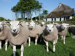 Nice Bungalow With Dishwasher in a Holiday Park 1.2 km. From the sea o