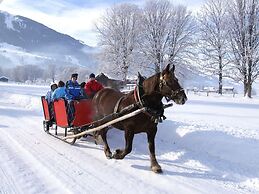 Spacious Apartment in Piesendorf With Sauna