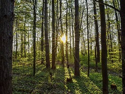 Modern, Wooden Chalet With Wood Burning Stove, in the Forest