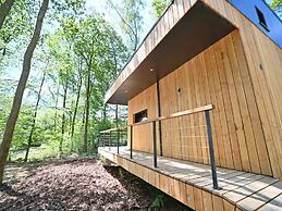 Modern, Wooden Chalet With Wood Burning Stove, in the Forest