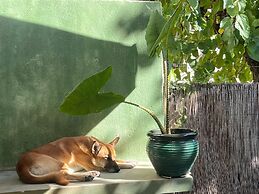 LEMON TREE GUEST HOUSE