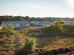 Comfortable Chalet With Dishwasher, in the Texel Dune Areal