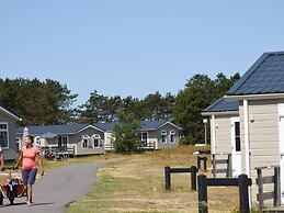 Comfortable Chalet With Dishwasher, in the Texel Dune Areal
