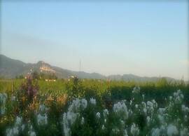 Beautiful Holiday Home With View Over Cortona in Beautiful Surrounding