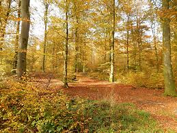 Tranquil Apartment in Sensenruth With Barbecue