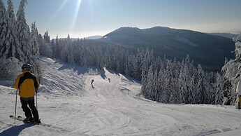 Attractive Apartment in Rokytnice nad Jizerou Near Ski Area