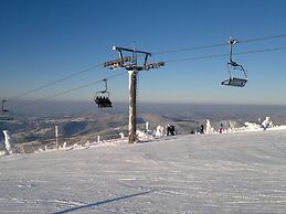 Attractive Apartment in Rokytnice nad Jizerou Near Ski Area