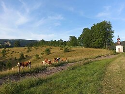 Attractive Apartment in Rokytnice nad Jizerou Near Ski Area