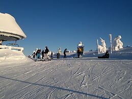 Attractive Apartment in Rokytnice nad Jizerou Near Ski Area