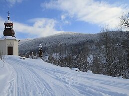 Attractive Apartment in Rokytnice nad Jizerou Near Ski Area