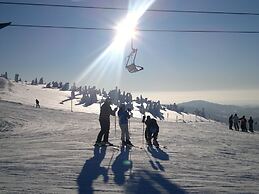 Attractive Apartment in Rokytnice nad Jizerou Near Ski Area