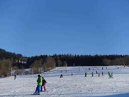 Attractive Apartment in Rokytnice nad Jizerou Near Ski Area
