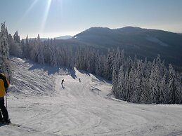 Attractive Apartment in Rokytnice nad Jizerou Near Ski Area