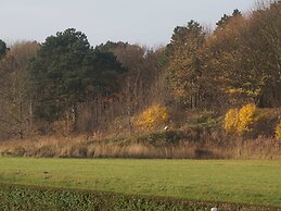 Nice House With Large Garden, in Noordwijk and Near the sea