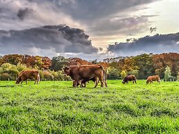 Dreamy Chalet With a Covered Terrace, Close to Nature